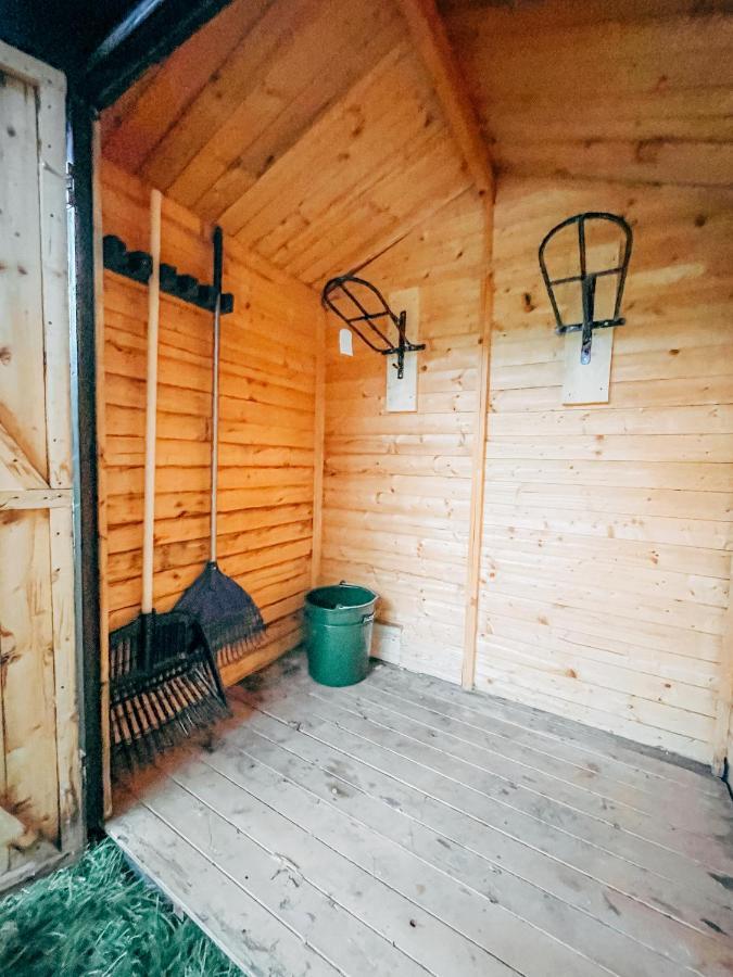 Wunderschoenes Chalet Mit Gaestehaus In Der Natur Mit Fass-Sauna Sangerhausen Eksteriør billede