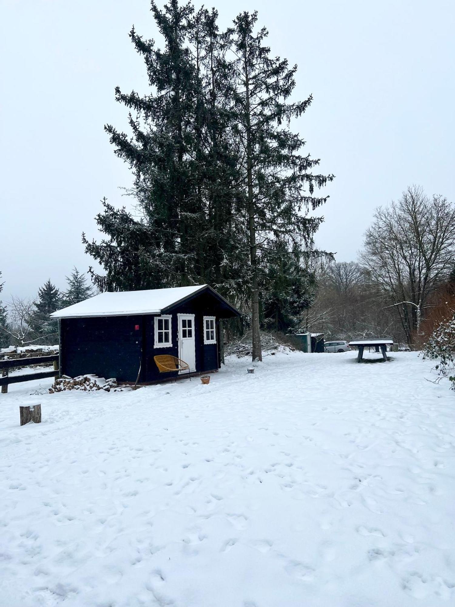 Wunderschoenes Chalet Mit Gaestehaus In Der Natur Mit Fass-Sauna Sangerhausen Eksteriør billede